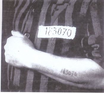 Résultat de recherche d'images pour "tatouage des déportés vers auschwitz"
